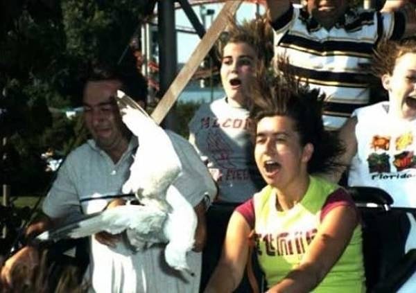 7. Дождь из птиц 🌧🦅