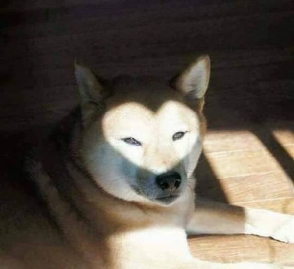 17. Я тоже тебя люблю