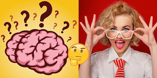 Тест: Сможете ответить на вопросы на общие знания, в которых стыдно сделать ошибку?