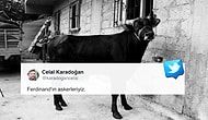 O Film Gibi Bir Kurtuluş Hikâyesinin Kahramanı: Boğa Ferdinand İzmir'deki Yeni Yuvasında