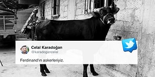 O Film Gibi Bir Kurtuluş Hikâyesinin Kahramanı: Boğa Ferdinand İzmir'deki Yeni Yuvasında