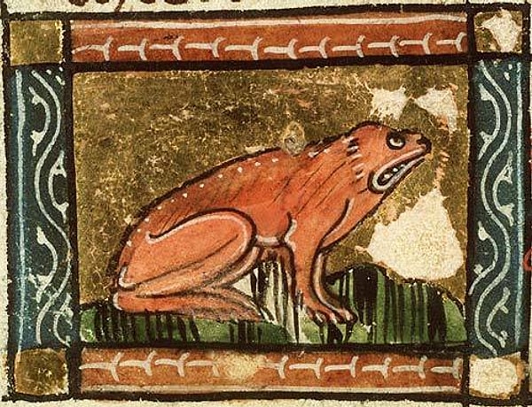 8. Это что за существо?