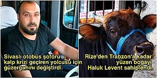 Türkiye’de Güzel Şeyler de Oluyor: Moralinizi Yerine Getirerek Sonbahara Tatlı Tatlı Girmenizi Sağlayacak 18 Olumlu Haber