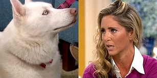 Köpeğini Vejetaryen Olmaya Zorlayan Kadına En Güzel Cevabı Sebze Yerine Et Yemeği Tercih Eden Köpeği Verdi!