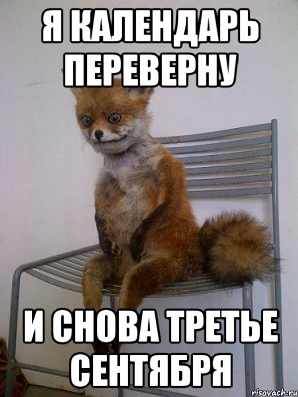 Пора бы уже сделать этот день национальным праздником.