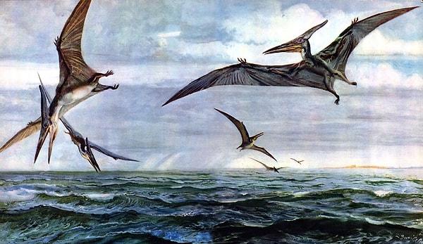 Pteranodon tarafından kaçırılarak öldün!