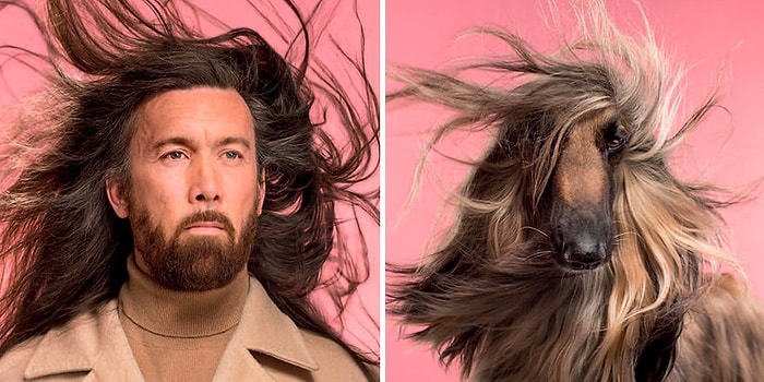 Британский фотограф создал серию фото, которая доказывает сходство собак и их хозяев