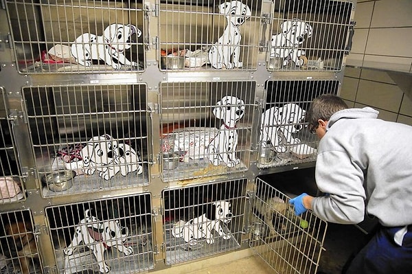 14. "101 далматинец"