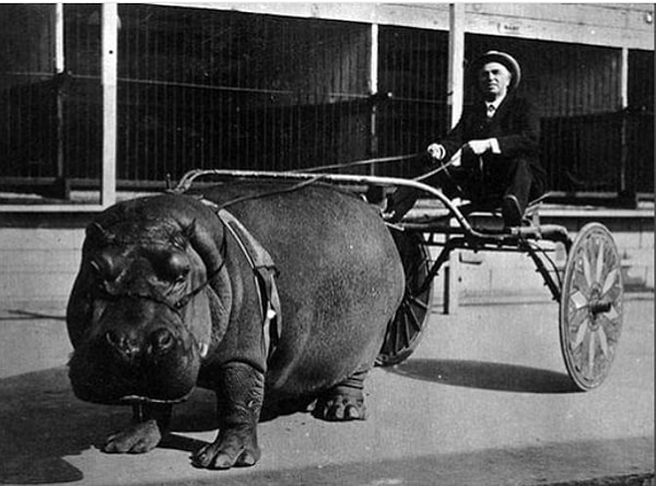 12. Это еще не все 👇