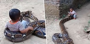 Devasa Piton Yılanıyla Oyuncak Gibi Oynayan Çocuğun Yürek Hoplatan Anları