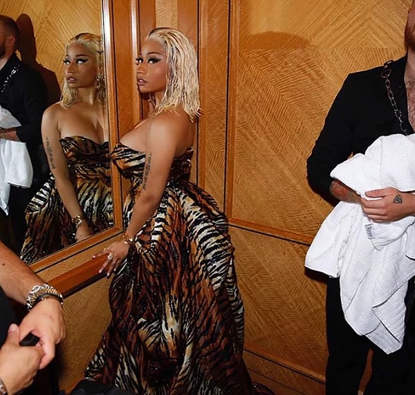 Сказать, что Ники проигнорировала все эти выпады, - это ничего не сказать.