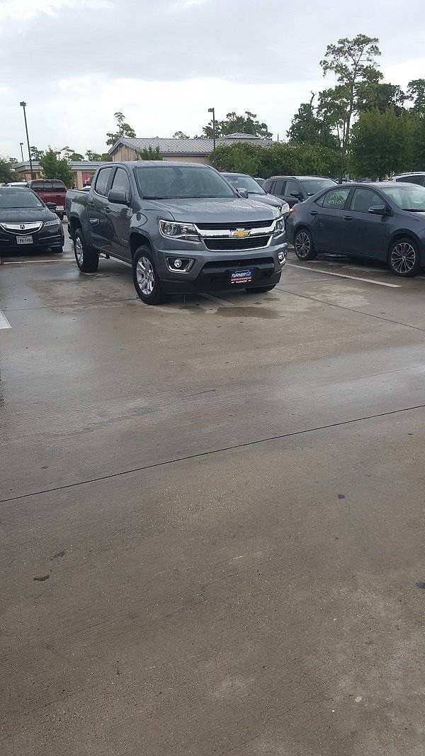 7. И снова их представитель. Кажется, они размножаются с чудовищной скоростью