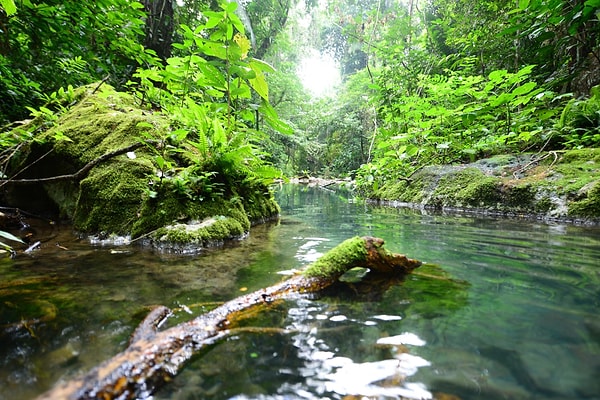 5. Белиз - страна в...