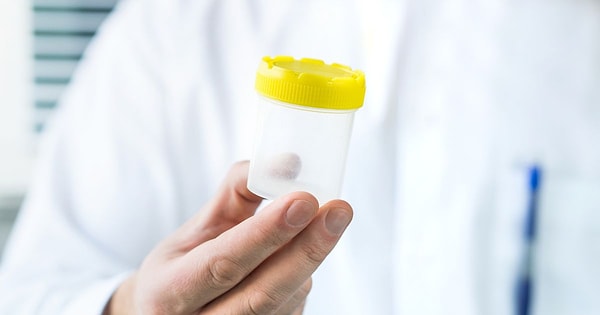 Самое интересное, что внук появился на свет благодаря сперме их погибшего сына.