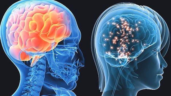 64. Erkek beyninde gri madde fazlayken, kadın beyninde beyaz madde daha fazladır ki, bu da kadın beyninde sinir sinyallerinin daha hızlı iletildiği ve kadınların daha hızlı düşünüp karar verdikleri anlamına gelir.