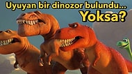 Dinazor Değil Dinozorların Milyonlarca Yıl Öncesine Dayanan Oldukça Şaşıracağınız Hikâyeleri