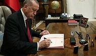 Varlık Fonu'nun Yeni Başkanı Erdoğan Oldu! Başkanvekilliği Görevine Berat Albayrak Getirildi, Yiğit Bulut Listeye Alınmadı