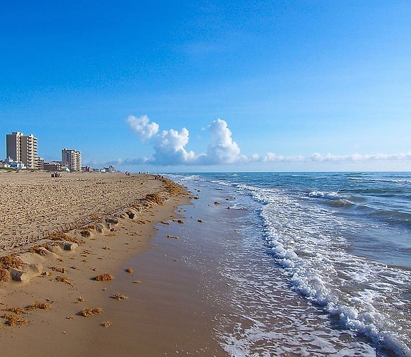 2. Какое море получило название от плавающих на его поверхности водорослей?