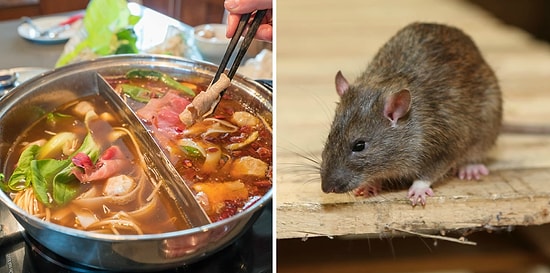 Беременная нашла мертвую крысу в своем супе. Ресторан в ответ предложил ей деньги на аборт