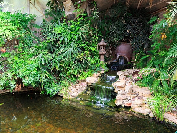 7. Выберите пруд: