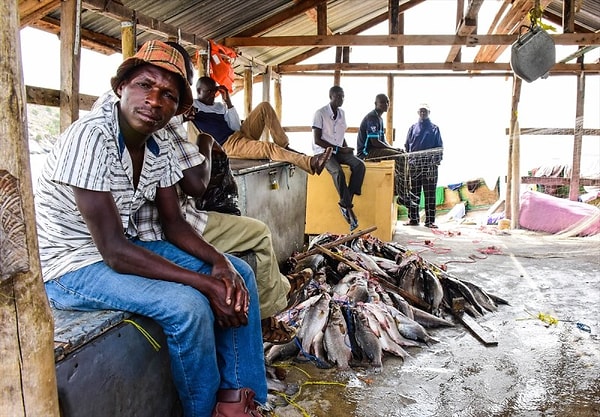Поэтому чем рыбаков больше, тем оно, конечно, лучше!