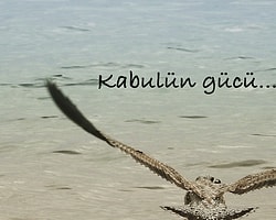 Kabulün Gücü