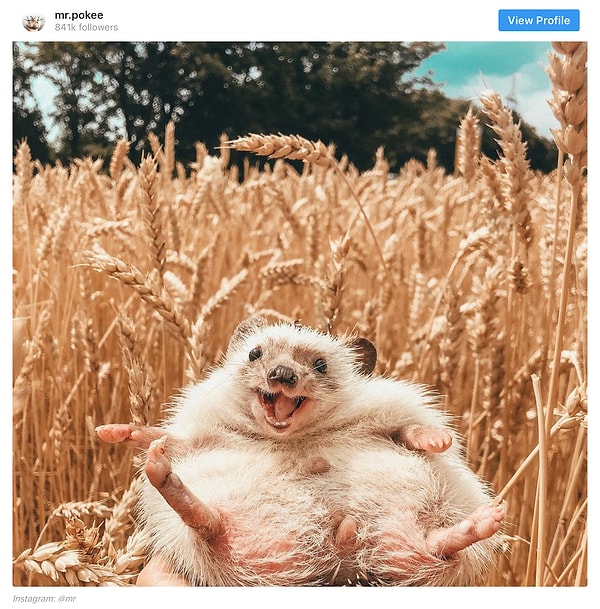 5. Как научиться брать от жизни всё? Спросите у героя снимка внизу!