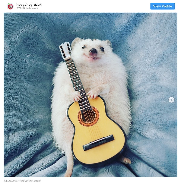 8. Крошечная рок-звезда 🤘