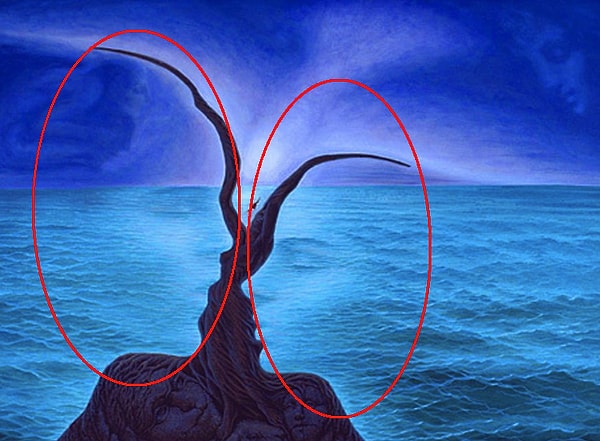 2. Вы увидели лицо мужчины и женщины: