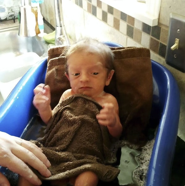 10. 3 кг 400 г, 81 год