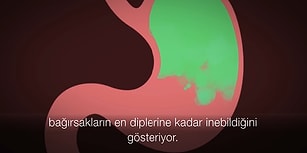 Neden Geğiririz?