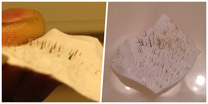 'Biz Siyah Noktayı Çiçek, Böcek, Güneş, Bulut Sanmışız' Dedirten Dibine Kadar Haz Dolu Fotoğraflar!