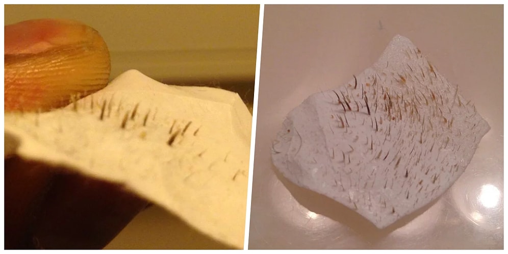 'Biz Siyah Noktayı Çiçek, Böcek, Güneş, Bulut Sanmışız' Dedirten Dibine Kadar Haz Dolu Fotoğraflar!