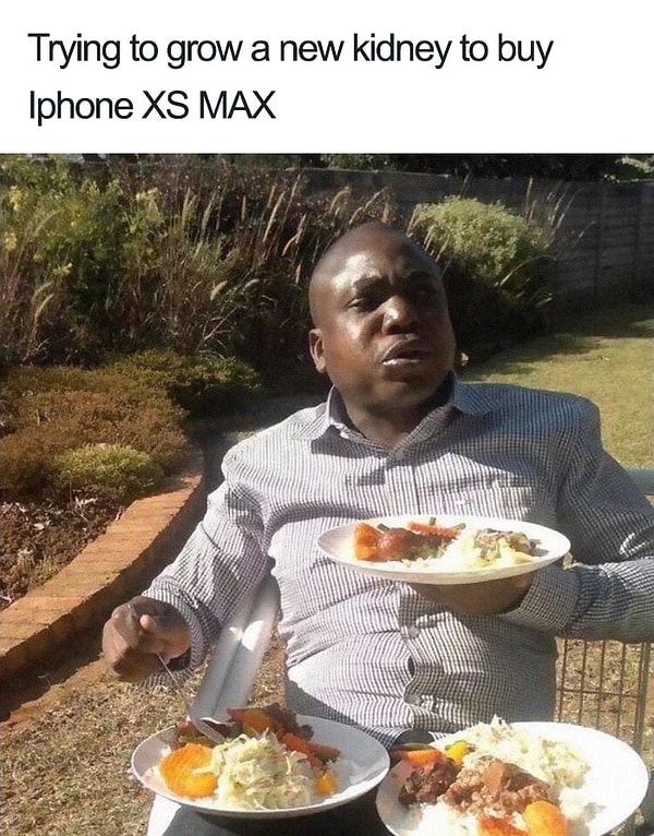 18. Пытаюсь вырастить новую почку, чтобы купить iPhone XS Max.