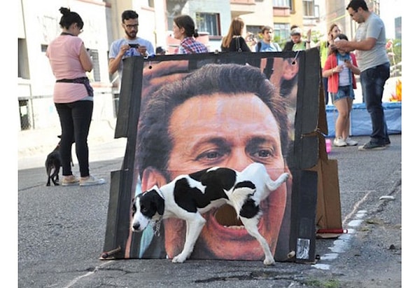 6. Собака-хулигака