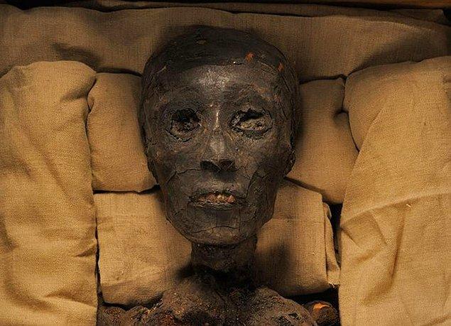 10. Mısır firavunu Tutankhamun, penisi erekte haldeyken mumyalanmıştı. Tutankhamun'un mezarı bulunduktan sonra, boynundaki mücevherler ile birlikte penisi de çalındı.