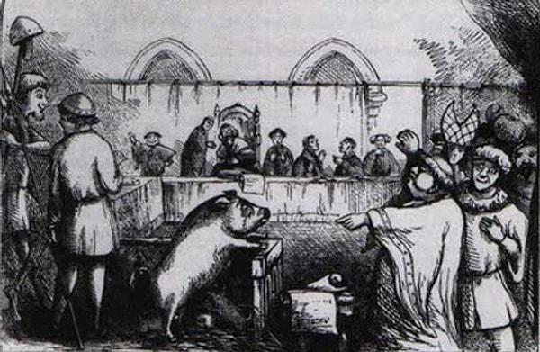 95. Orta Çağ Avrupa’sında hayvanlar da suçlarından dolayı yargılanırdı ve genellikle ölüm cezası alırlardı.