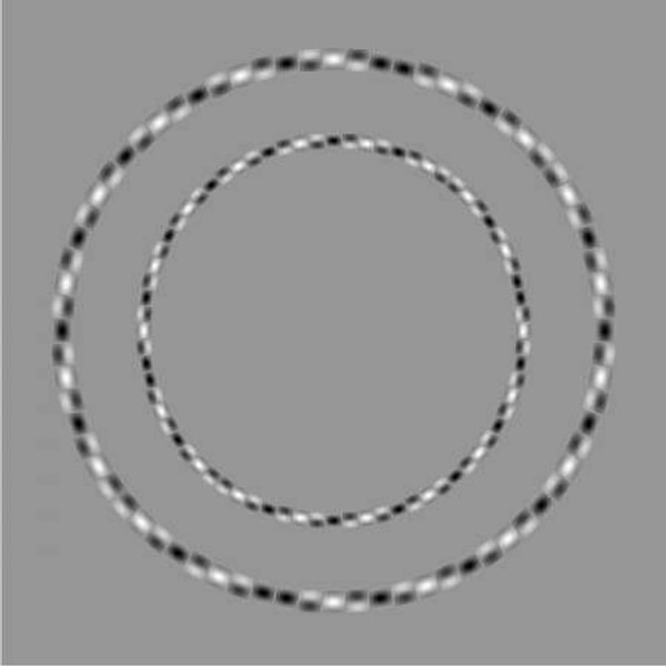 5. Ровные или кривые круги изображены на этом рисунке?