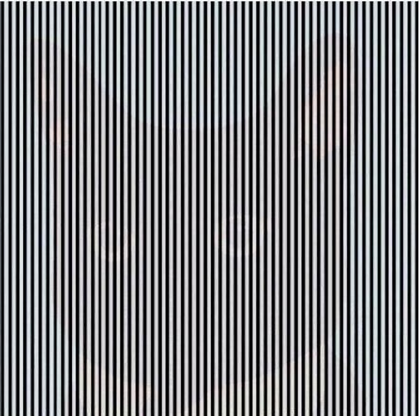 10. Какое животное спряталось на этом рисунке?