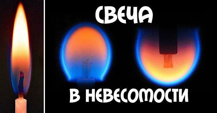Бесполезные факты всегда самые интересные. Не пропустите новую подборку