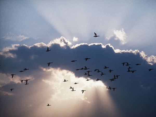 8. Что происходит после смерти человека?