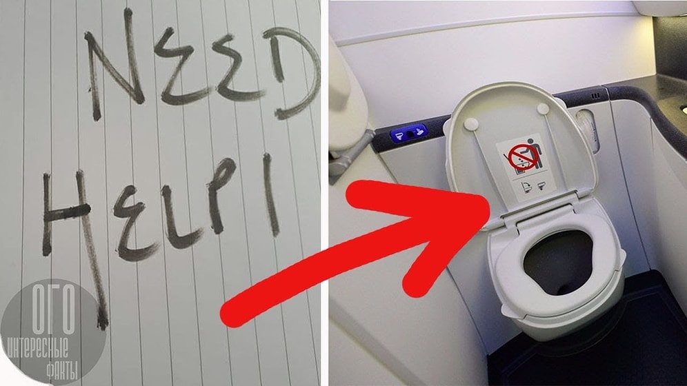 История о том, как стюардесса помогла освободить похищенную девушку с помощью своей смекалки