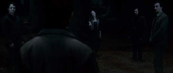 17. Какой из Даров Смерти Гарри использует, чтобы вновь увидеть родителей?