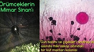 Işığa Karşı Koyamayan Böcek Misali Etkisine Kapılacağınız, Alışılmışın Dışında 23 Doğa Görseli