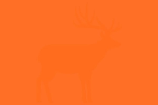 8. Здесь тоже есть животное. Какое?