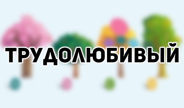 Слово, которое лучше всего описывает вас: