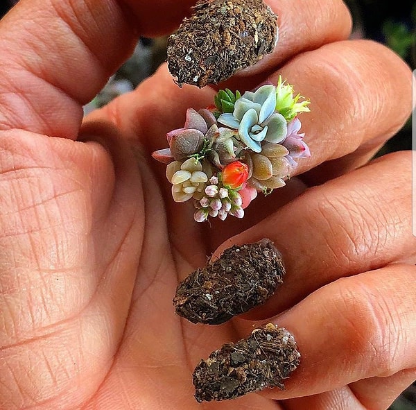 8. Зачем такие сложности? Можно просто запустить пятерню в землю