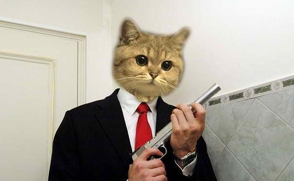 9. В какой стране был принят первый в мировой истории закон о защите кошек?