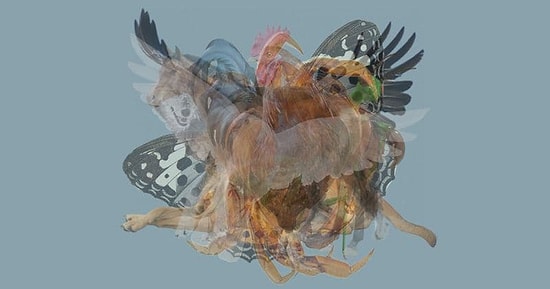 Тест: Животное, которое вы увидите первым, раскроет всю правду о вас