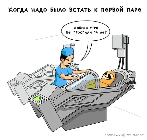 11. Студенты поймут